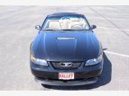 Thumbnail Photo 8 for 2000 Ford Mustang GT Convertible